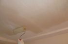 Primer Ceiling