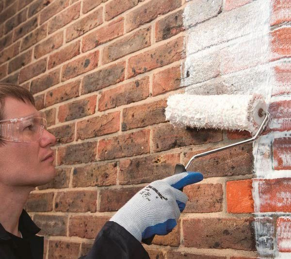 Peignez le mur avec un rouleau