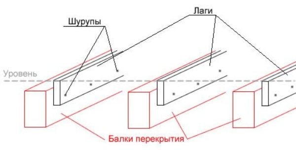 Сексът на лагите