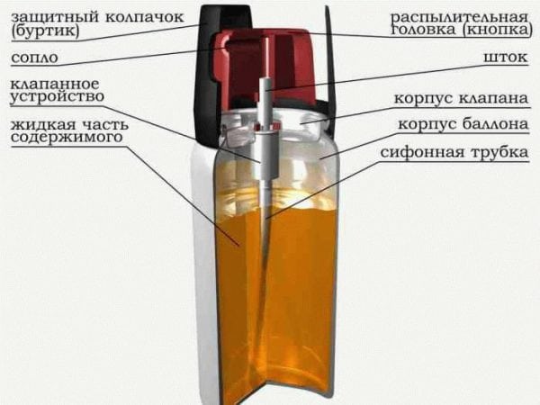 Schemat standardowej puszki z rozpylaczem