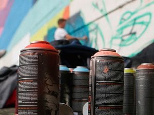 ban on the sale of paint in aerosols