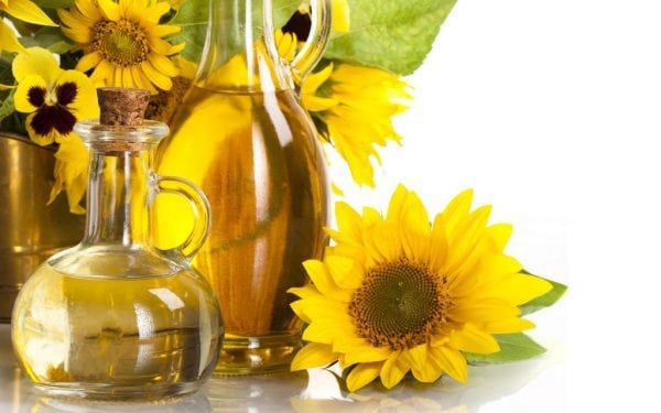 Sunflower oil for cooking oil