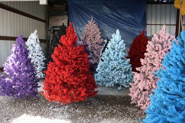 Acrylic-painted Christmas trees can stand for several months