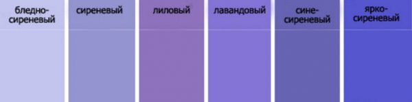 Names of varieties of lilac