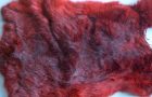 Rabbit fur coloring