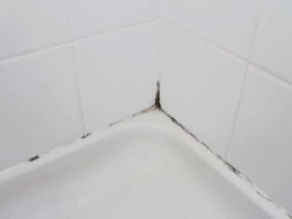 Mold between tiles in the bathroom