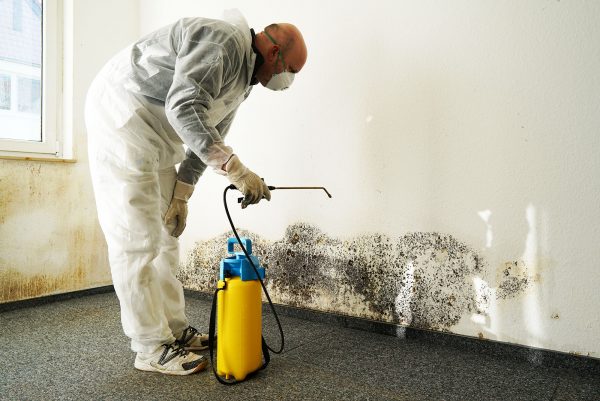 Mold treatment