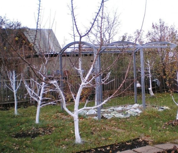 Biela farba zabraňuje spáleniu od slnka