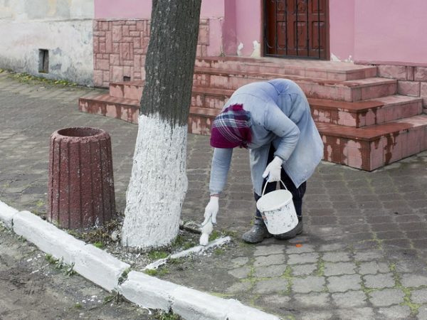 Благоустройство