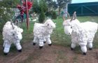 Foam Goats