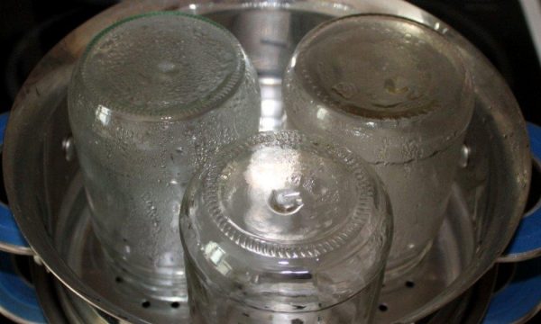 Sterilization of cans in a double boiler