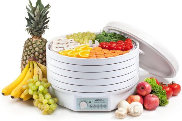 Séchoir à fruits et légumes Ezidri Snackmaker FD5