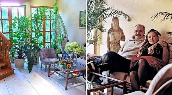 Orangery di rumah Nikita Mikhalkov