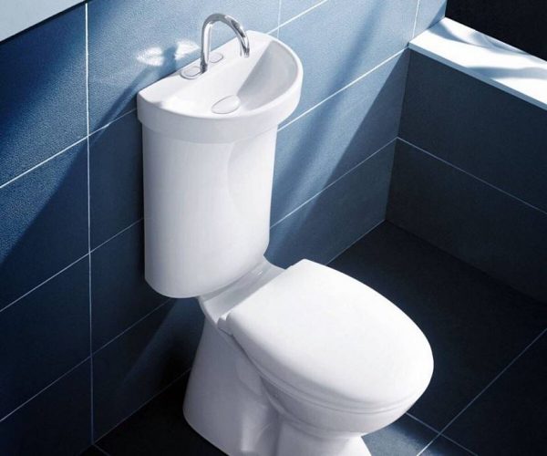 Toilet bowl with integrated washbasin