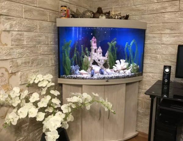 Corner Aquarium