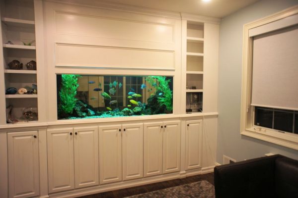 Built-in furniture aquarium