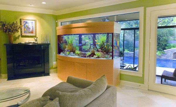 Aquarium in the living room interior