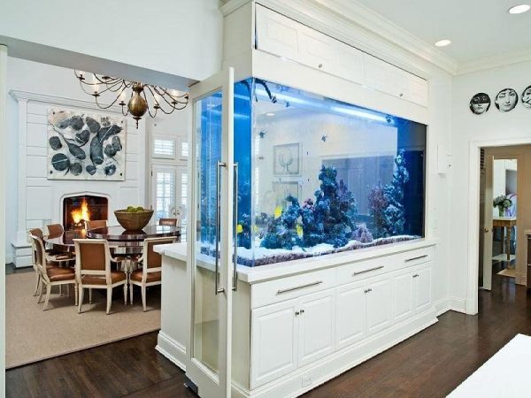 Built-in partition aquarium