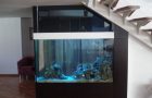 Design of an integrated aquarium in the interior