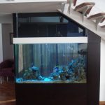 Design of an integrated aquarium in the interior