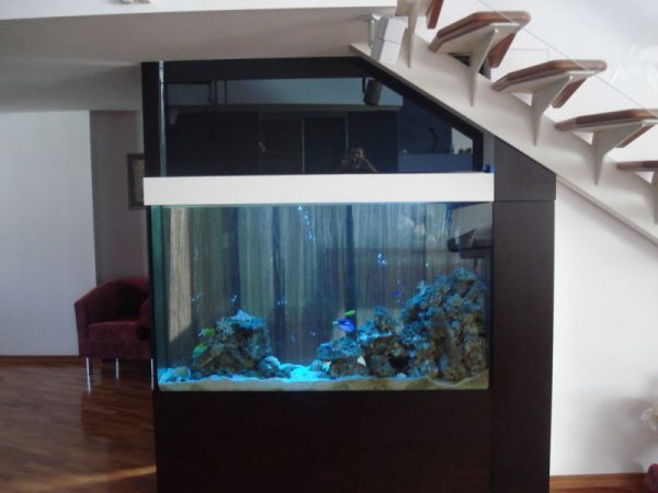 Design of an integrated aquarium in the interior