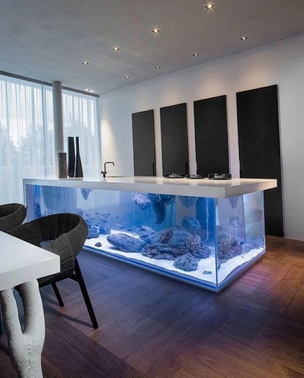 Outdoor aquarium in the interior