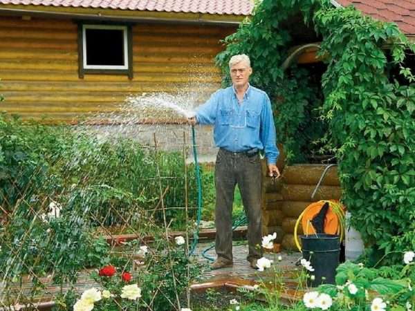 Jardin fleuri dans la cour