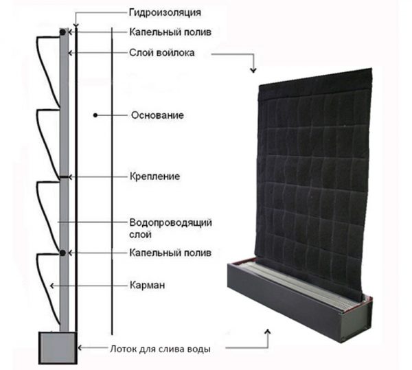 Projekt fitomodułu typu filcowego