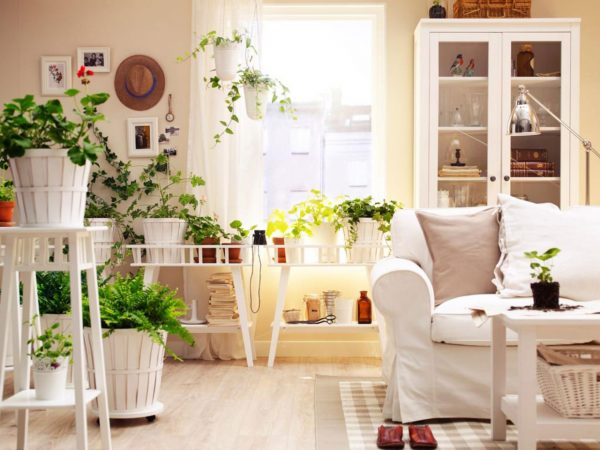 Fresh flowers in the interior of the apartment