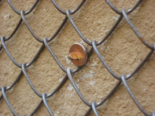 Fixing the netting to the wall