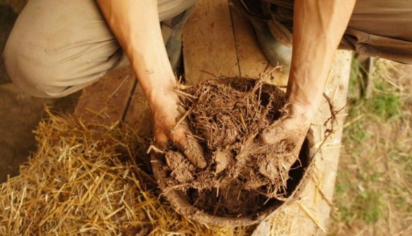 Clay and straw mortar