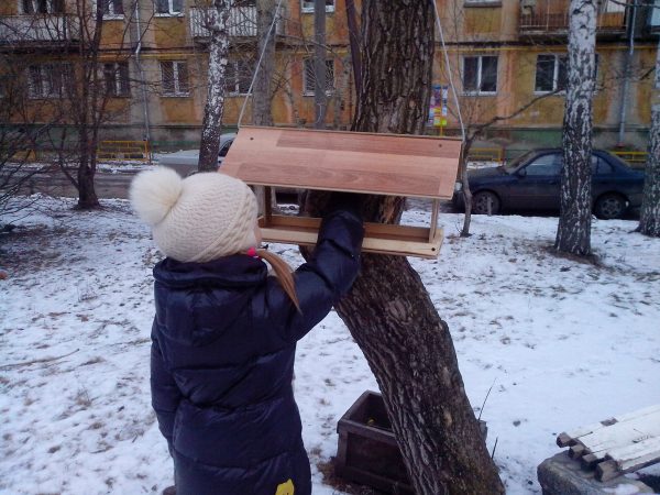 Домашна хранилка за птици