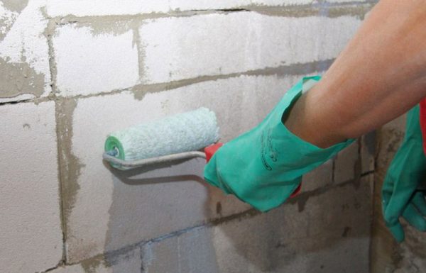 Primer for aerated concrete walls