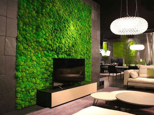 Moss panels in the living room