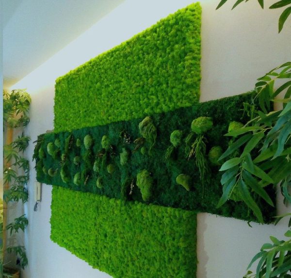 Vertical gardening with moss