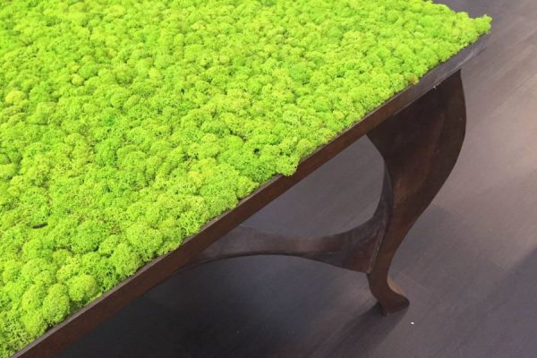 Coffee table with moss elements.