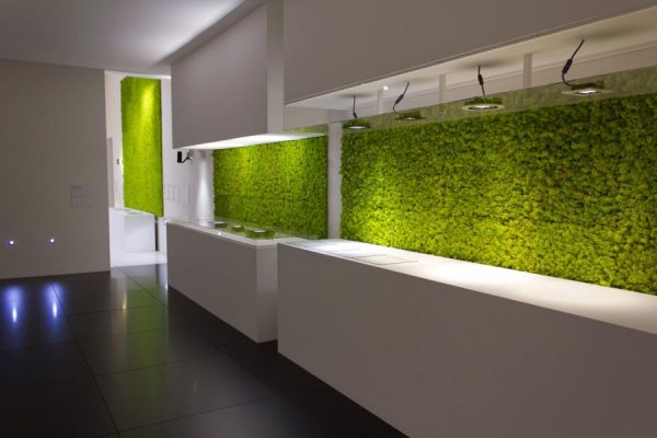 Moss panels in the interior of the kitchen