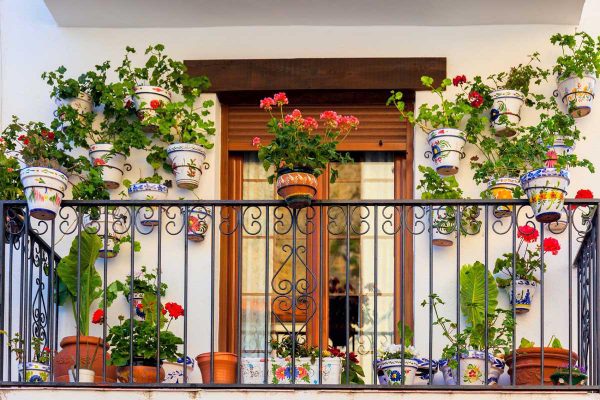 Fleurs sur le balcon